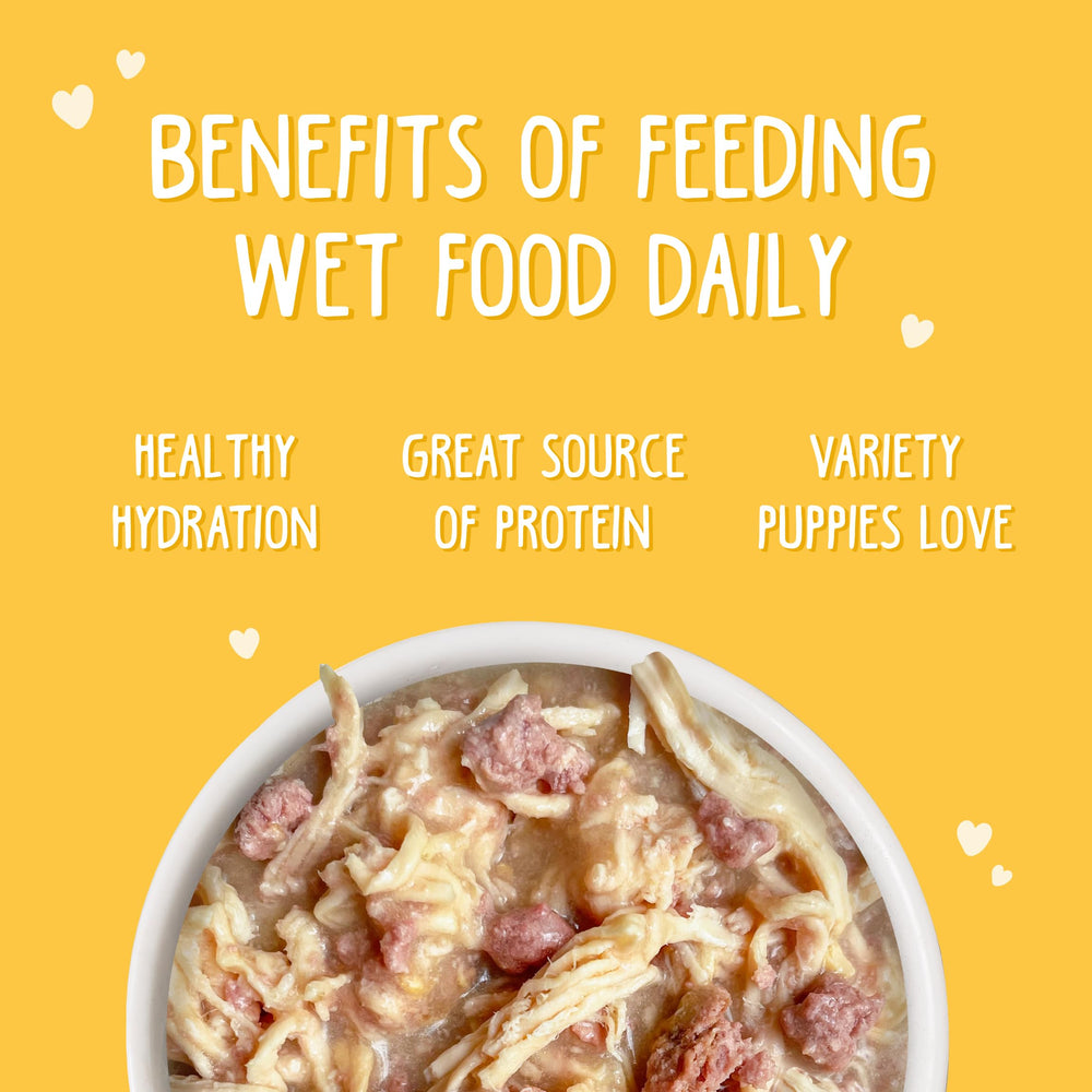 Weruva Puppy Food sauce onctueuse – texture appétissante pour chiots.