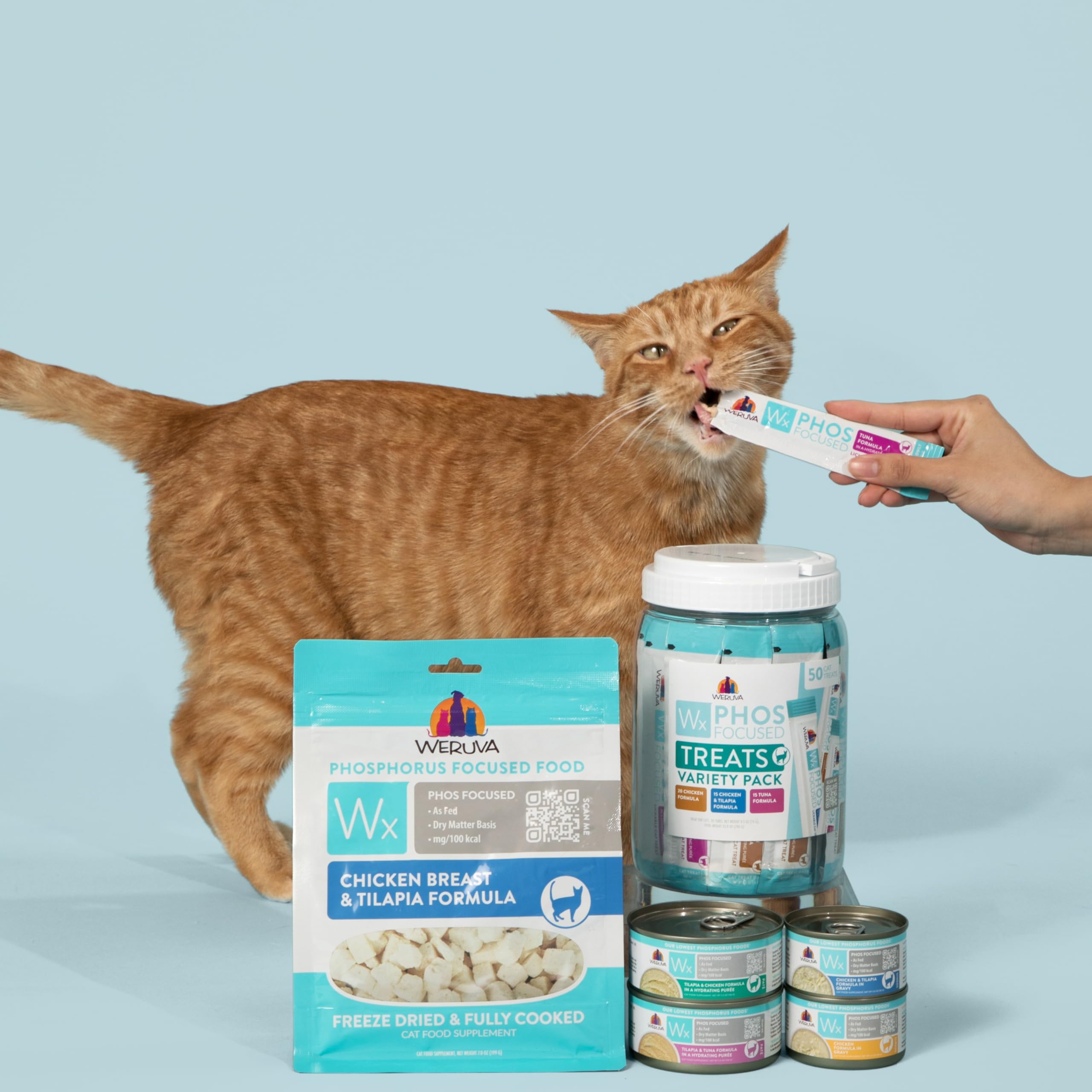 Lot de 50 tubes prêts à partager et servir.