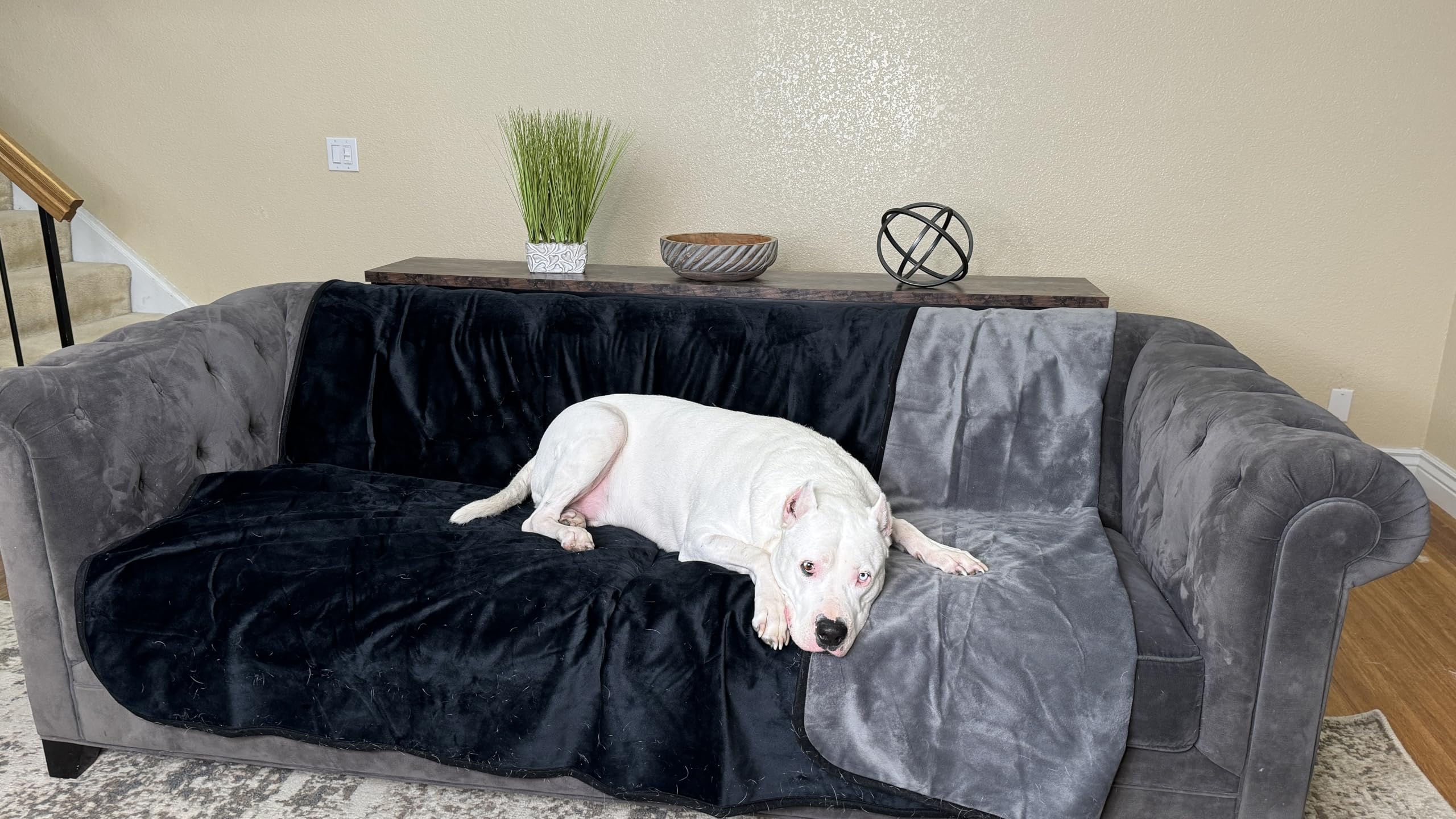 Wesbrad microfleece triple couches: douceur et protection au quotidien