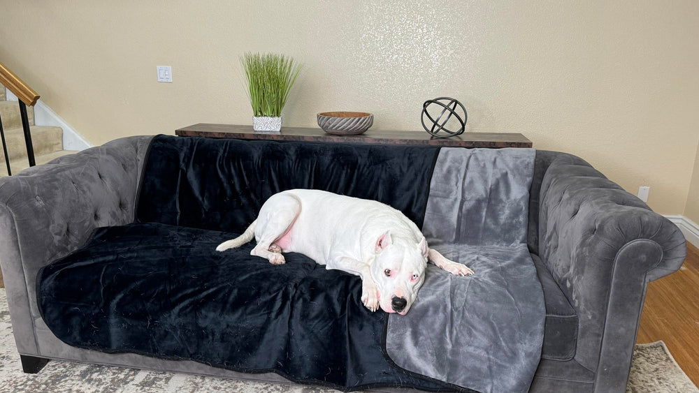 Wesbrad microfleece triple couches: douceur et protection au quotidien