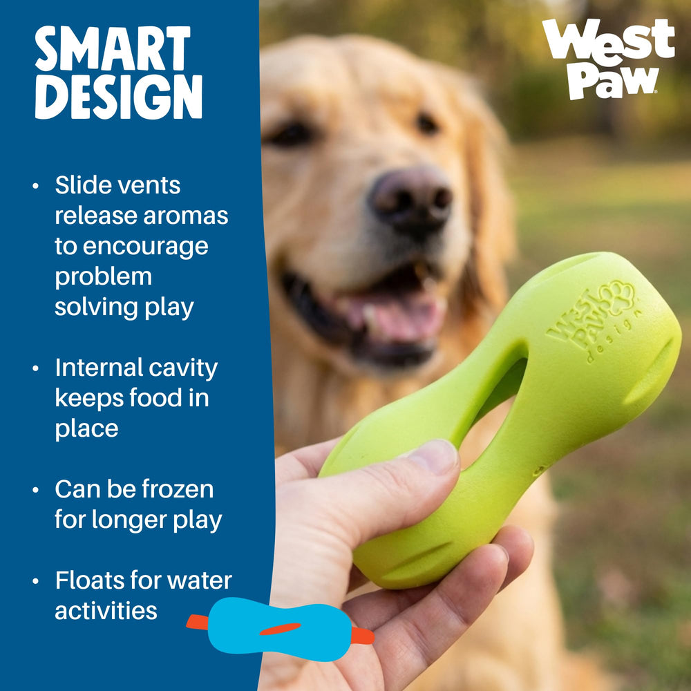Qwizl West Paw flotte sur l’eau, idéal pour jeux près de l’eau.