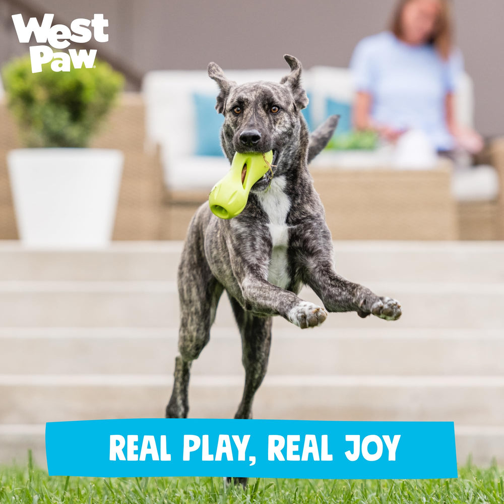 West Paw Qwizl: stimulation mentale répétée et enrichissement lors des sessions.