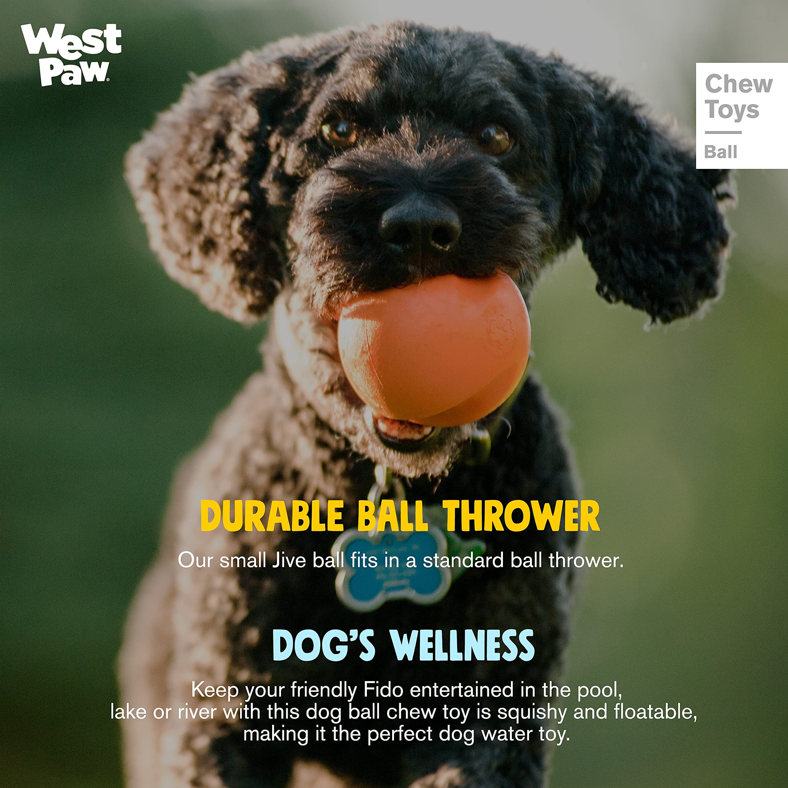 Facile à nettoyer: lave-vaisselle, Jive Ball WEST PAW Zogoflex.