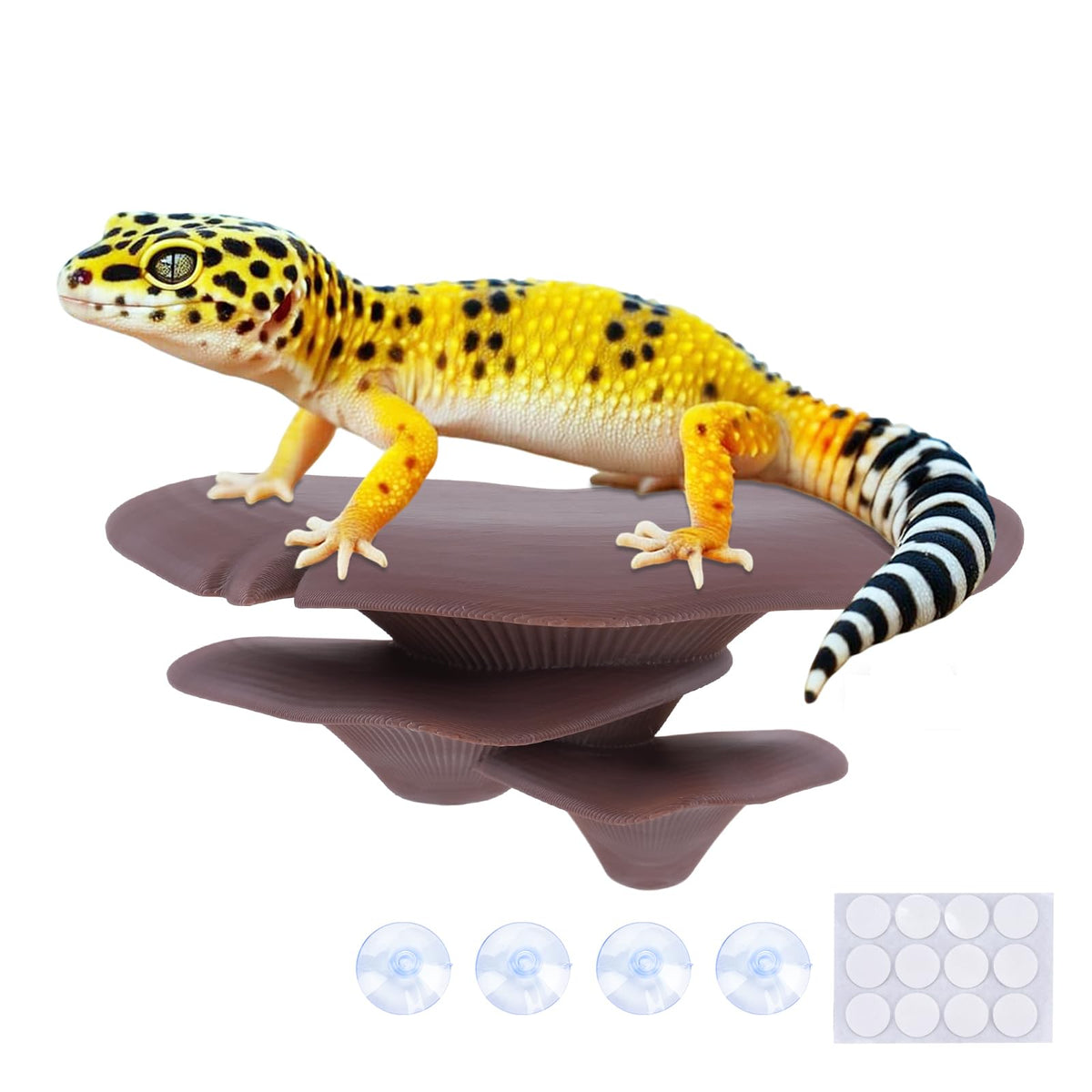 Westant champignons artificiels pour terrarium Cocoa — cachettes naturelles pour reptiles