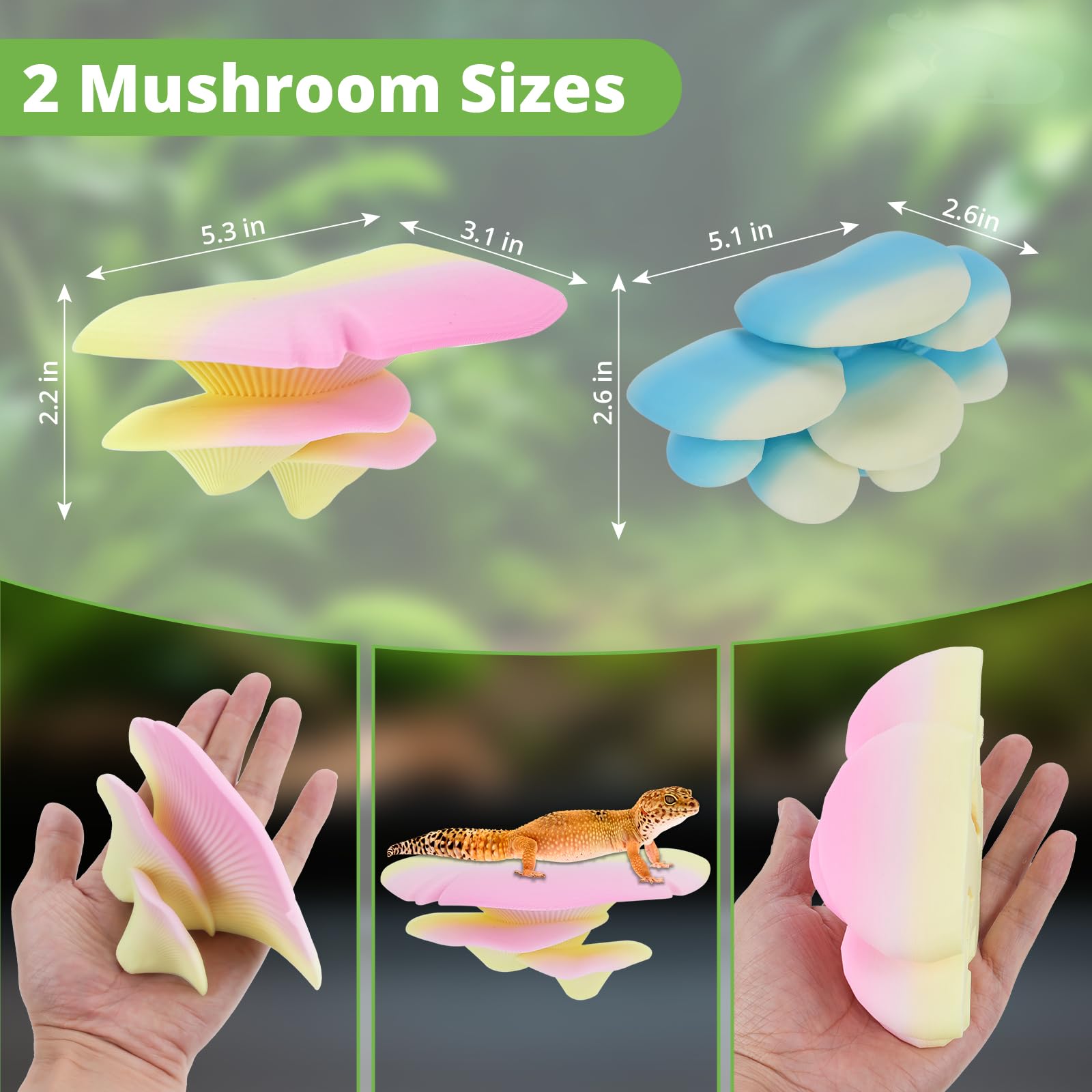 Westant champignons terrarium Cocoa — cachettes stimulantes pour géckos