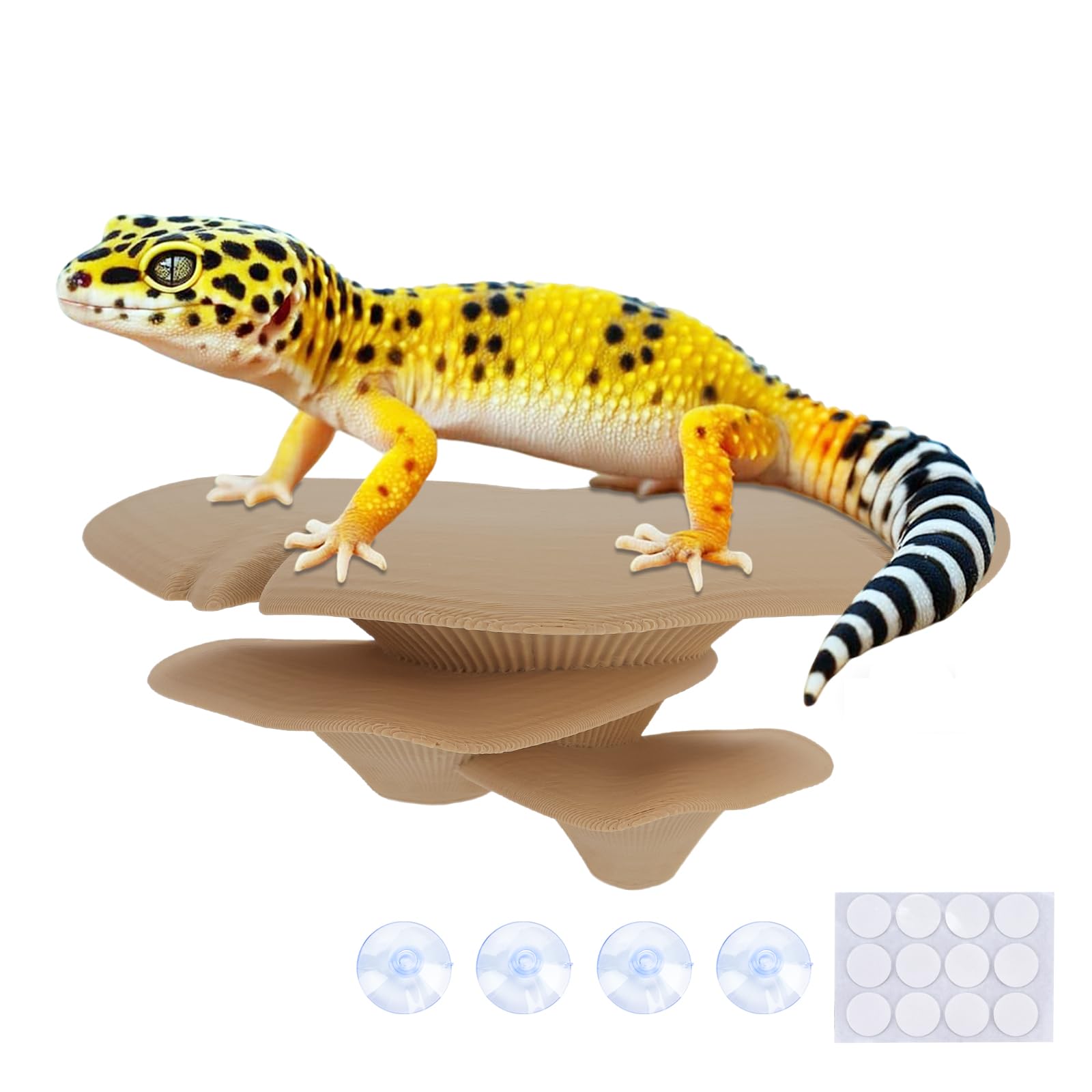 Westant décor champignons terrarium; cachettes naturelles pour reptiles et amphibiens.
