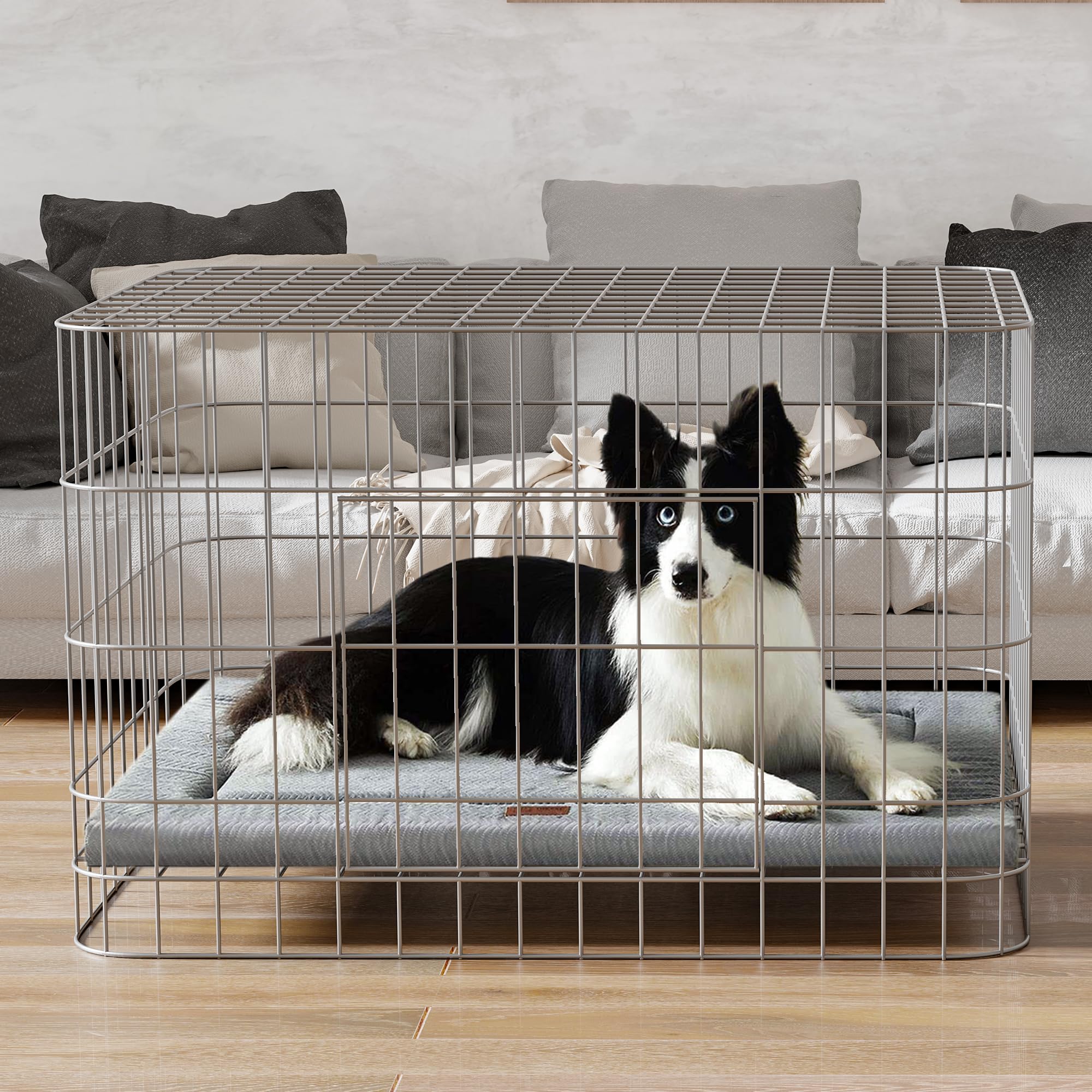 WESTERN HOME grand lit chien soutien mousse haute densité pour repos adapté et soutenu.