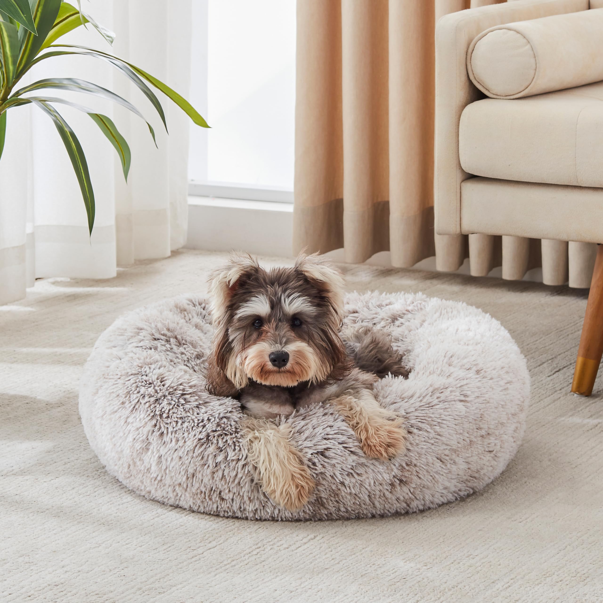 Coussin rond WESTERN HOME WH en peluche doux pour chien et chat, confort immédiat.