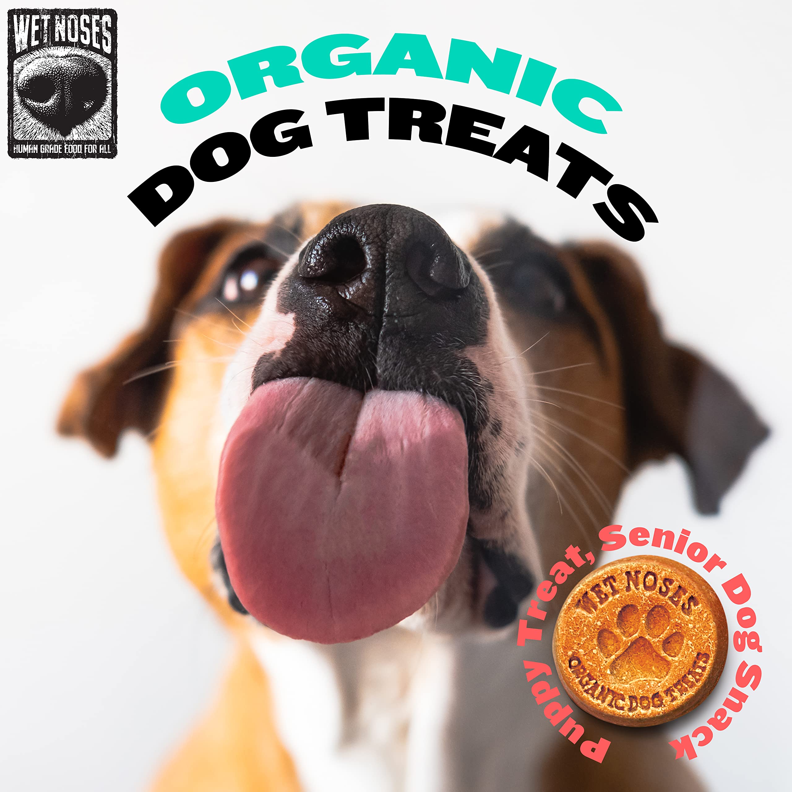 Friandises Wet Noses adaptées à toutes tailles de chiens.