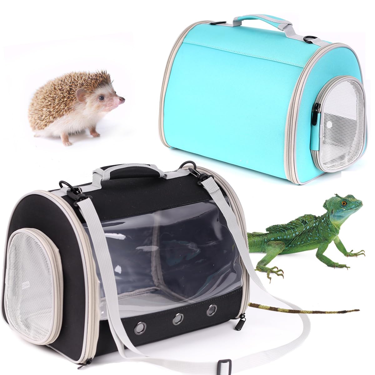 WEVONIGU dragon barbu capacite compacte pour petits animaux.