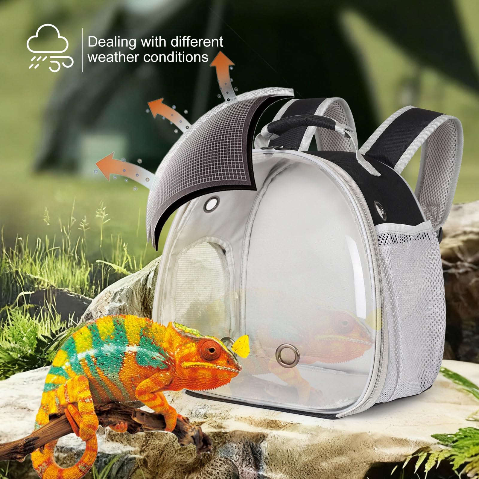 WEVONIGU dragon-barbu harnais-laisse grand: maintien stable pendant les sorties.