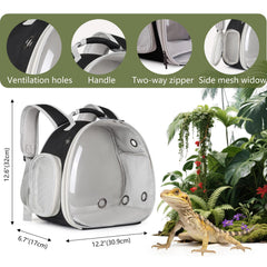 WEVONIGU dragon-barbu harnais-laisse petit: ajustement sûr pour jeunes reptiles.
