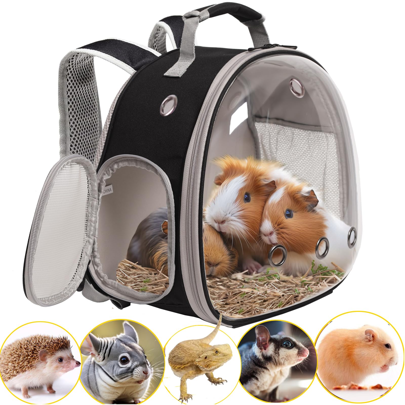 WEVONIGU dragon barbu, sac-porteur bulle transparente, parfait pour les promenades.
