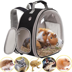 WEVONIGU dragon barbu, sac-porteur bulle transparente, parfait pour les promenades.
