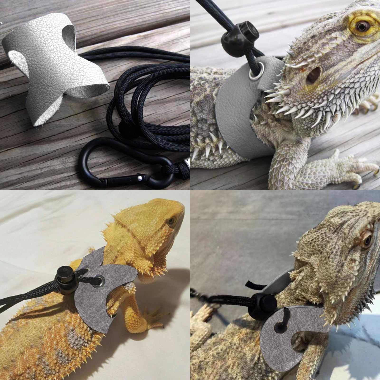 WEVONIGU dragon-barbu sac-voyage poches-collations-eau: rangement pratique.