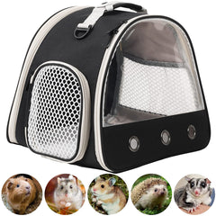 WEVONIGU Gecko Léopard fenêtre transparente pour surveiller l’animal en voyage.