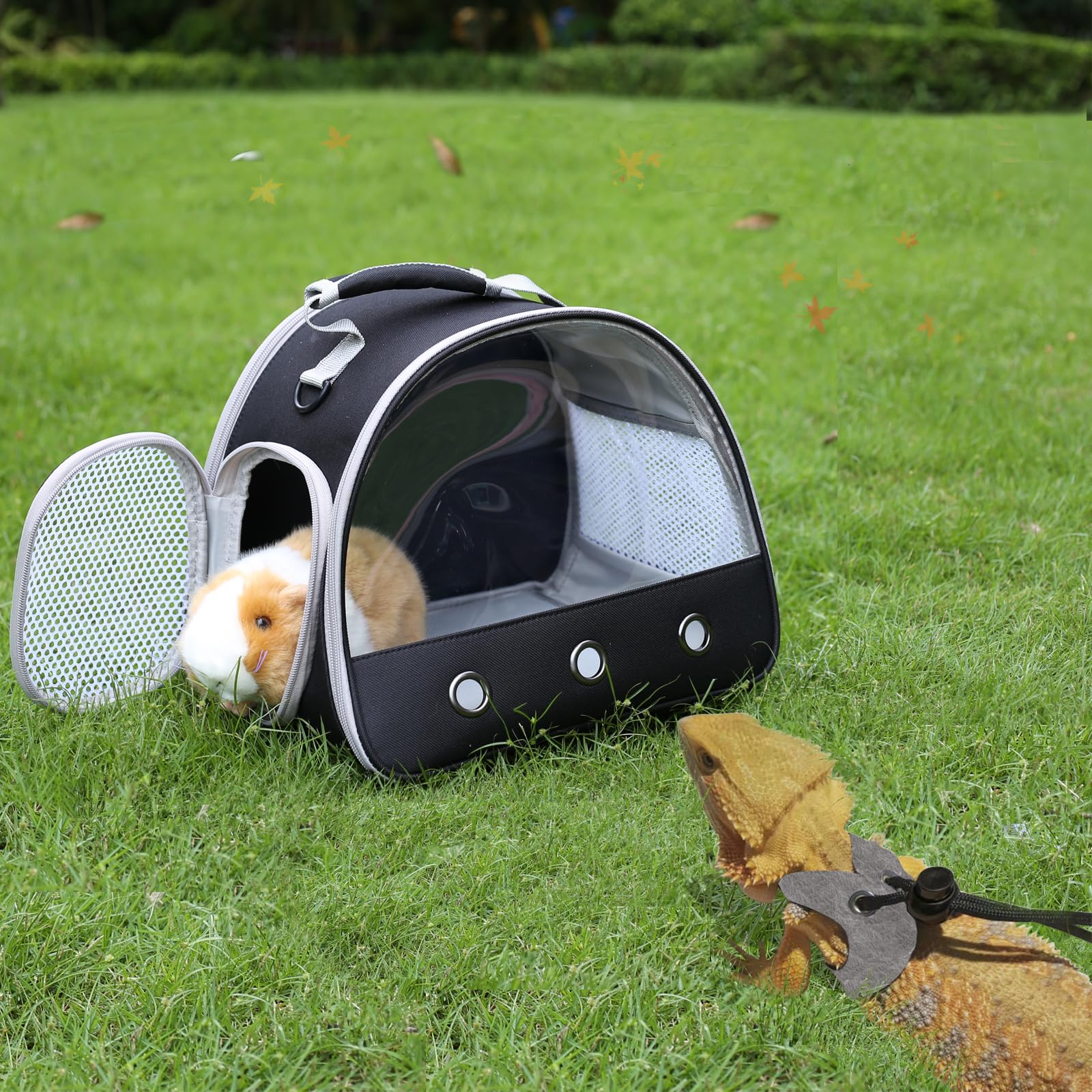 WEVONIGU Gecko Léopard rangement latéral pour collations et eau pendant le trajet.