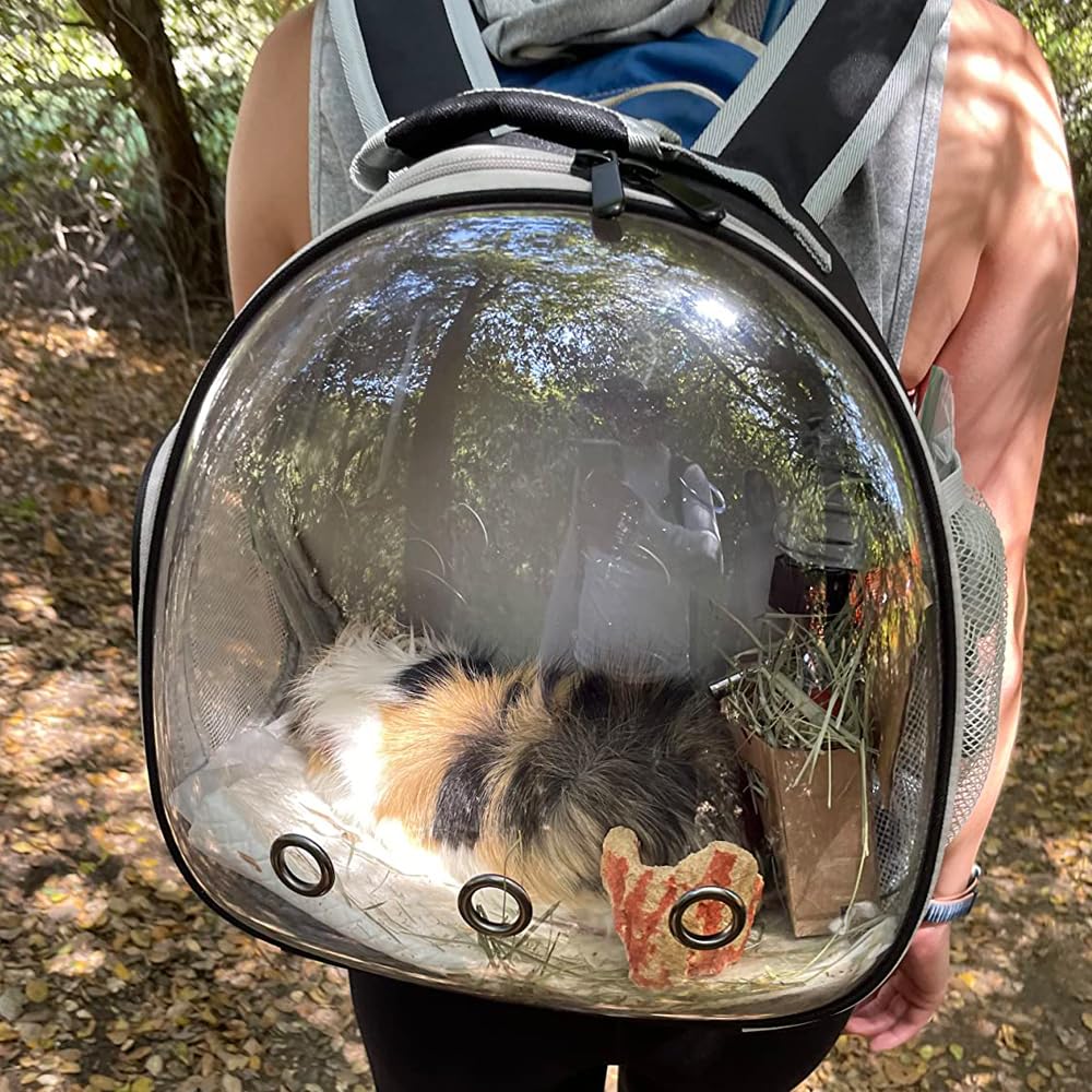 WEVONIGU perroquet, sac-porteur bulle voyage sûr et confortable.