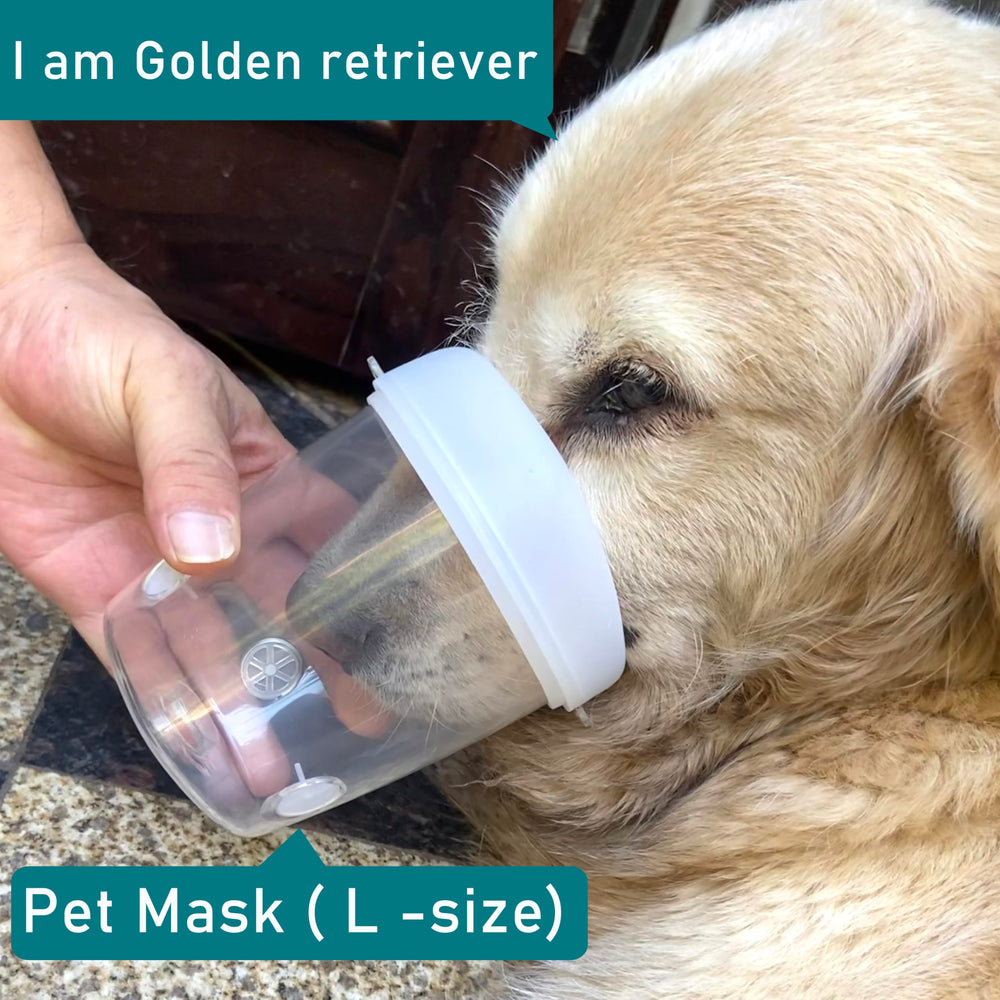 WhaleSing masque oxygène pour petits chiens: ajustement sûr et utilisation rapide