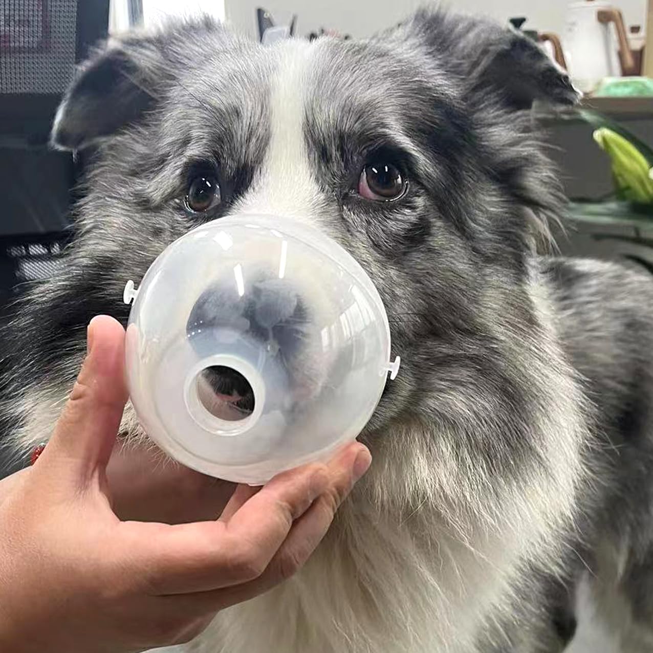 WhaleSing masque silicone pour animaux: matériau sûr et confortable.