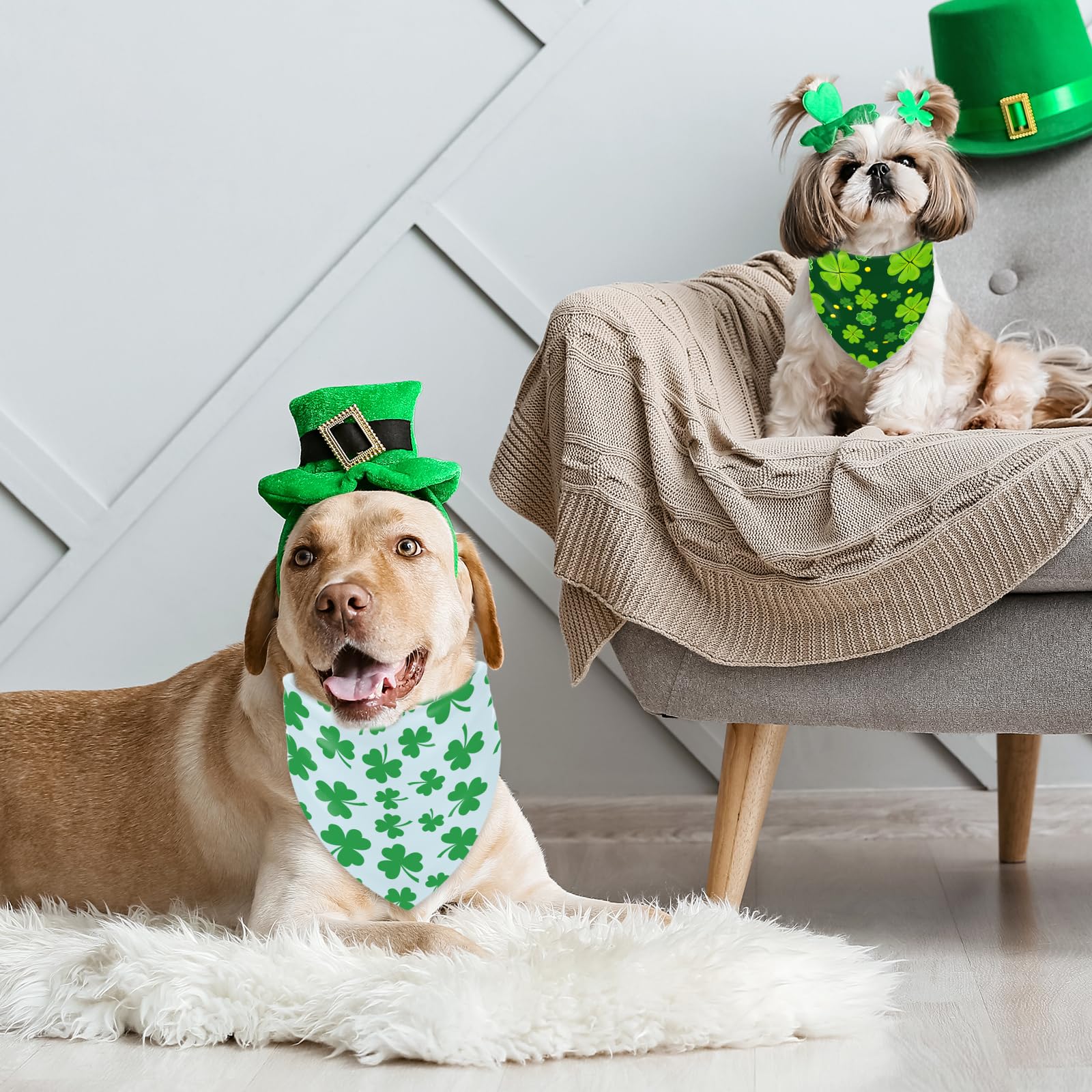 Whaline bandana chien Saint-Patrick design écologique pour ambiance festive.