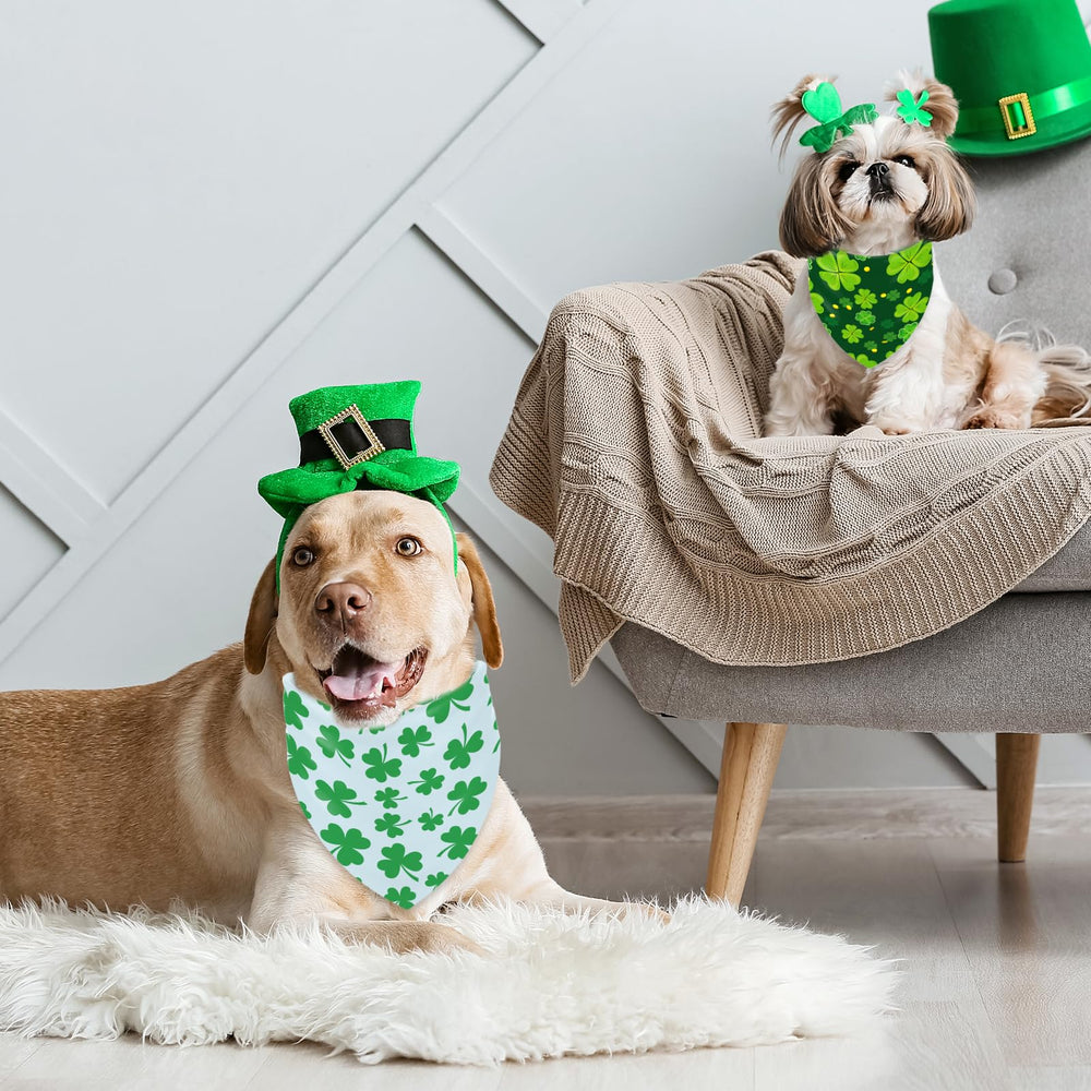 Whaline bandana chien Saint-Patrick design écologique pour ambiance festive.