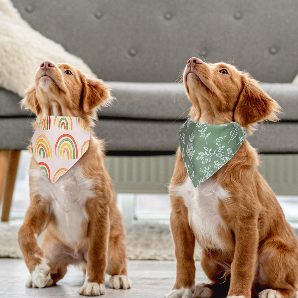 Whaline accessoire chien motif daisies, parfait pour occasions spéciales