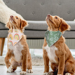Whaline accessoire chien motif daisies, parfait pour occasions spéciales