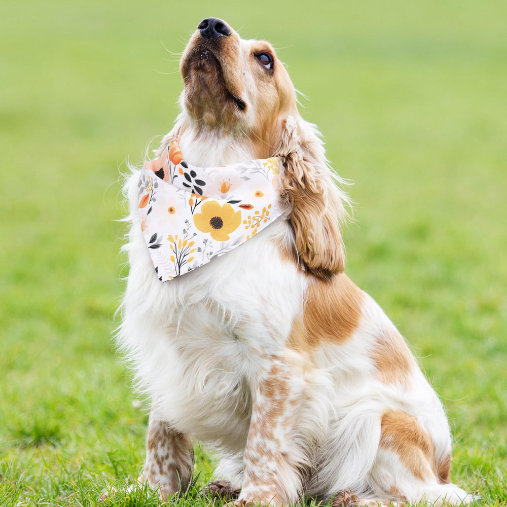 Whaline bandanas boho, design unique pour séances photos