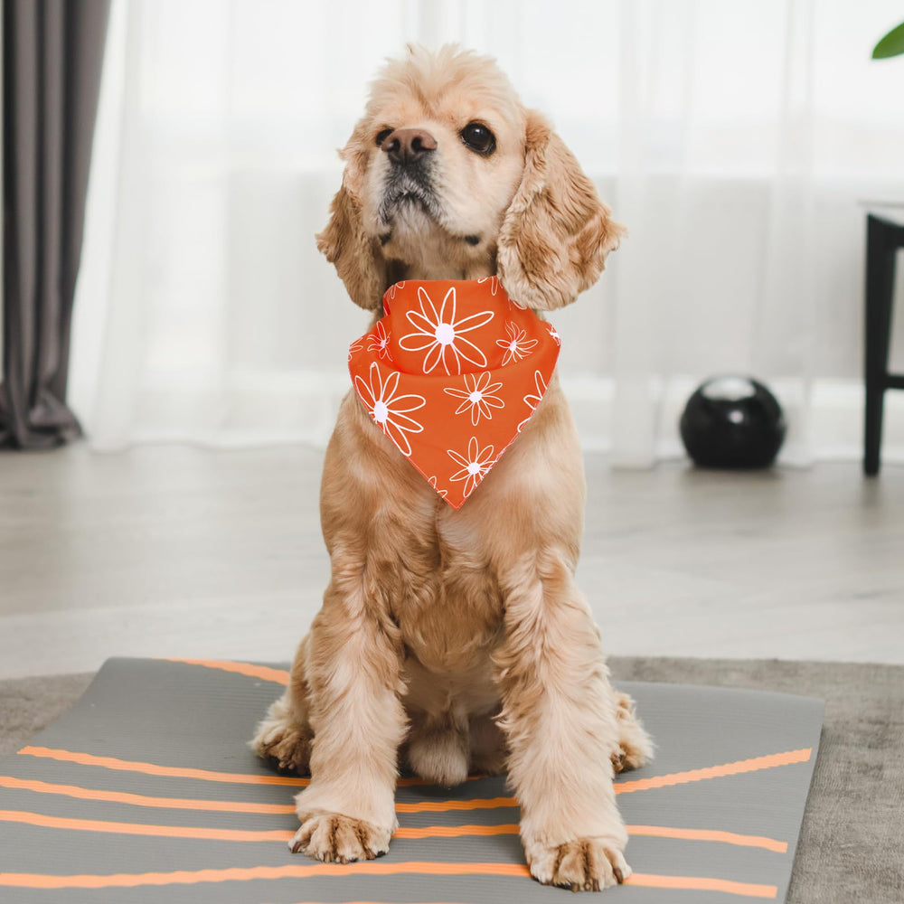 Whaline bandana chien, tissu léger et respirant