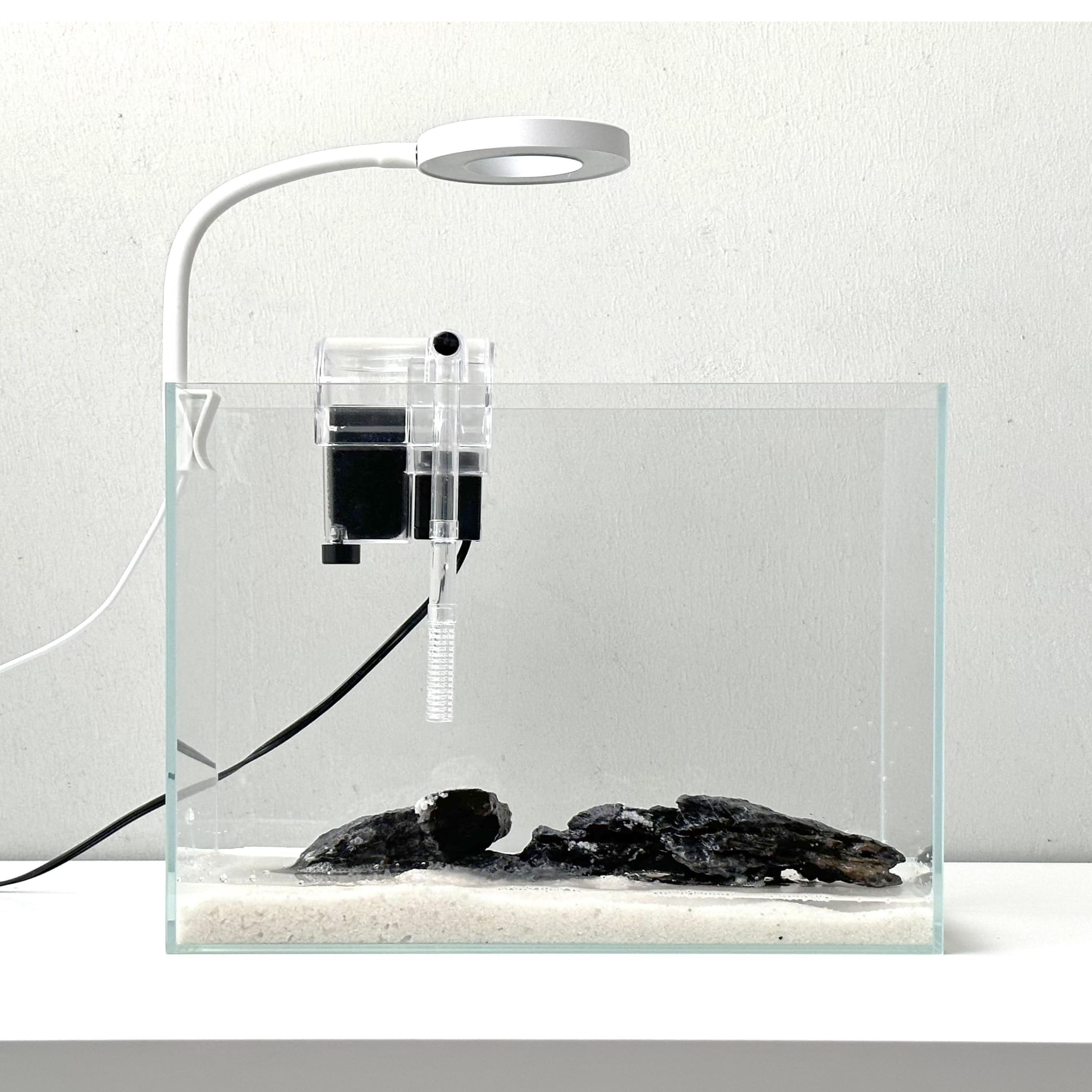 Whalix aquarium nano sur bureau, design sans cadre pour une vue claire.