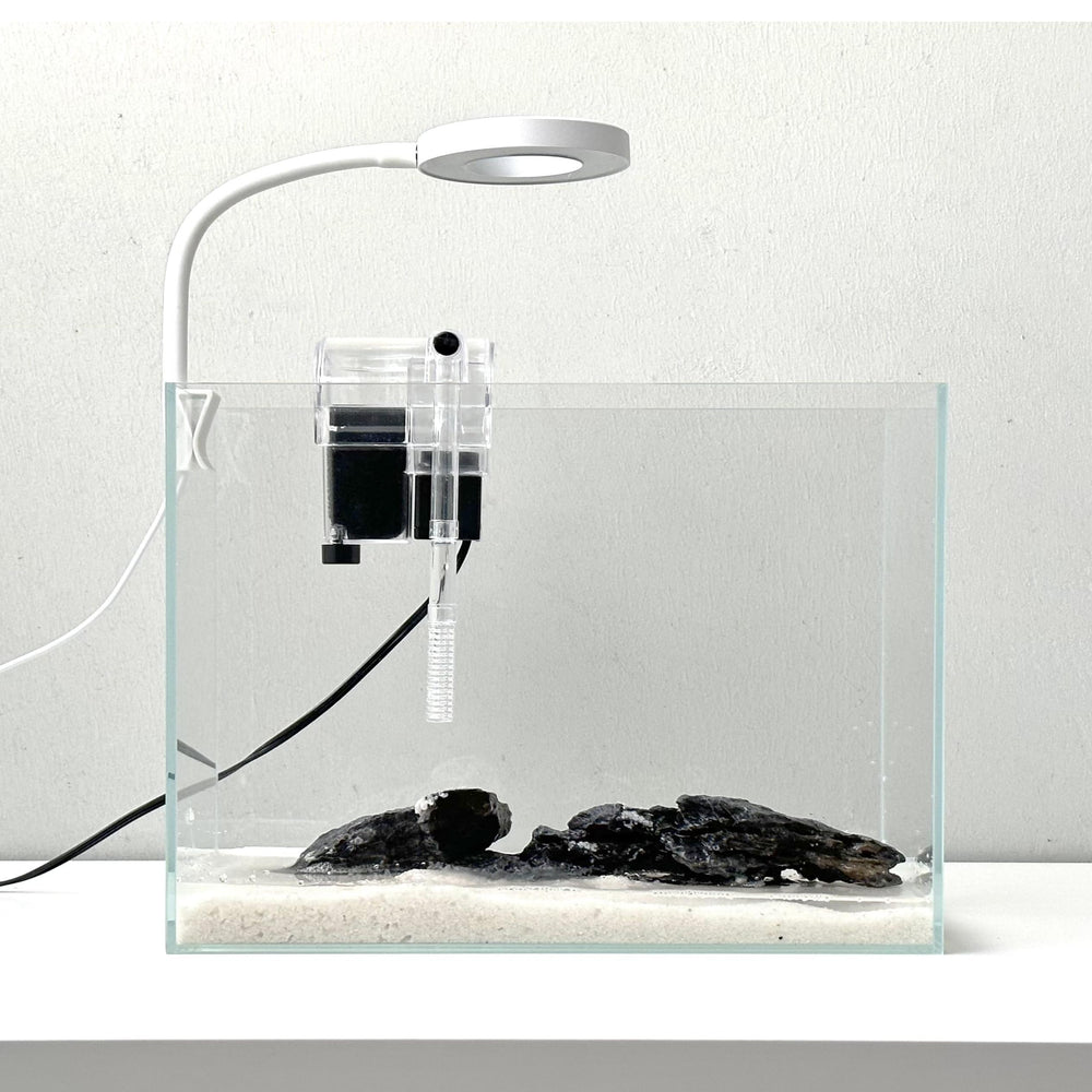 Whalix aquarium nano sur bureau, design sans cadre pour une vue claire.