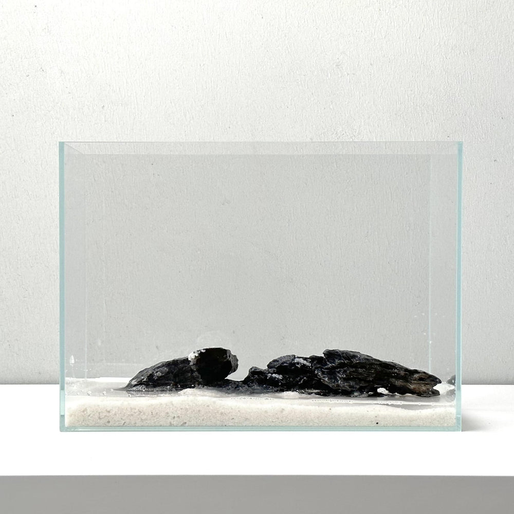 Whalix ecosysteme aquatique miniature prêt à l’emploi et silencieux.
