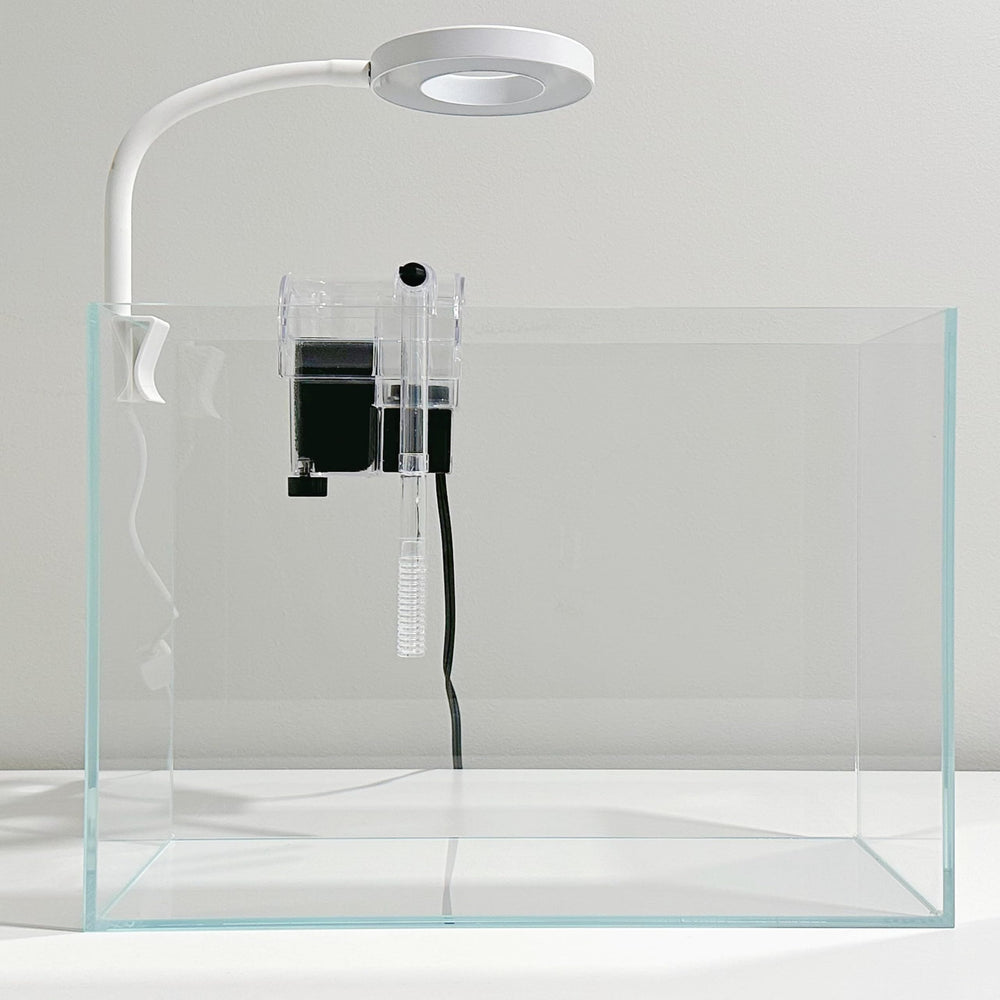 Whalix lampe LED 360, lumière naturelle pour mettre en valeur poissons et plantes.