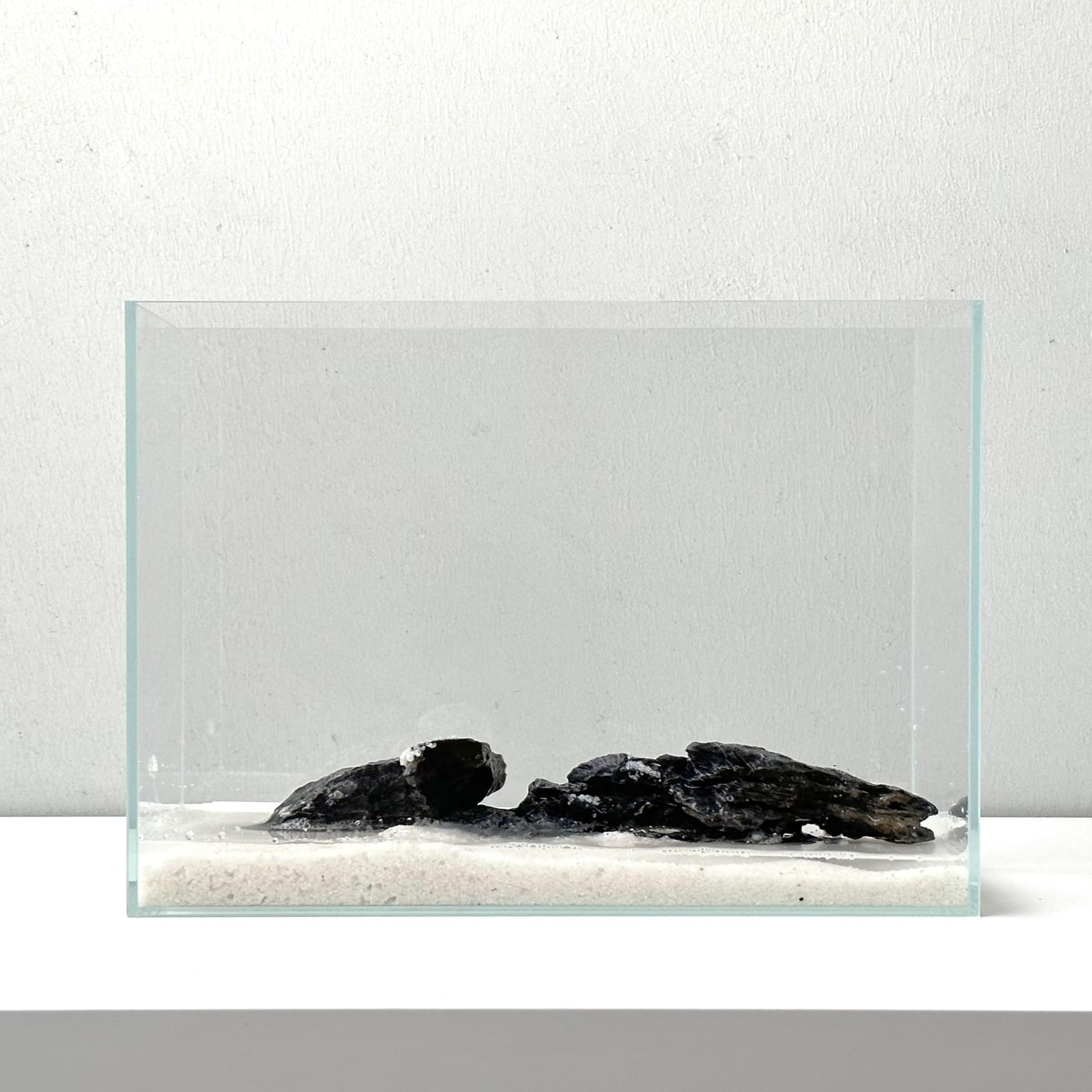 Whalix Nano Aquarium Kit : design élégant sur bureau minimaliste.