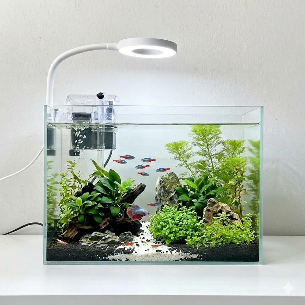 Whalix Nano Aquarium Kit : vue nette du verre sans rebord.