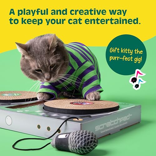 DJ Scratchpad WHAT DO YOU MEME balle-plastique-cloche: divertissement et stimulation.