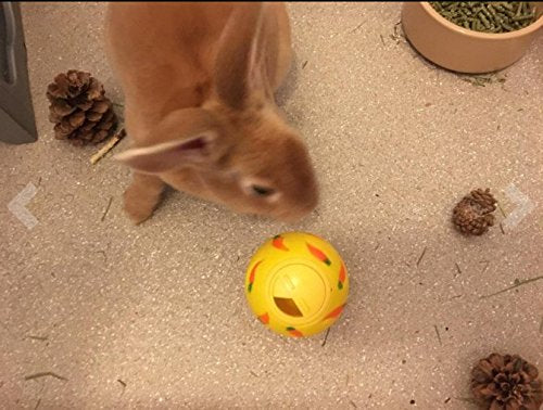 Idéal pour cobayes et lapins, petit animal actif Wheeky.