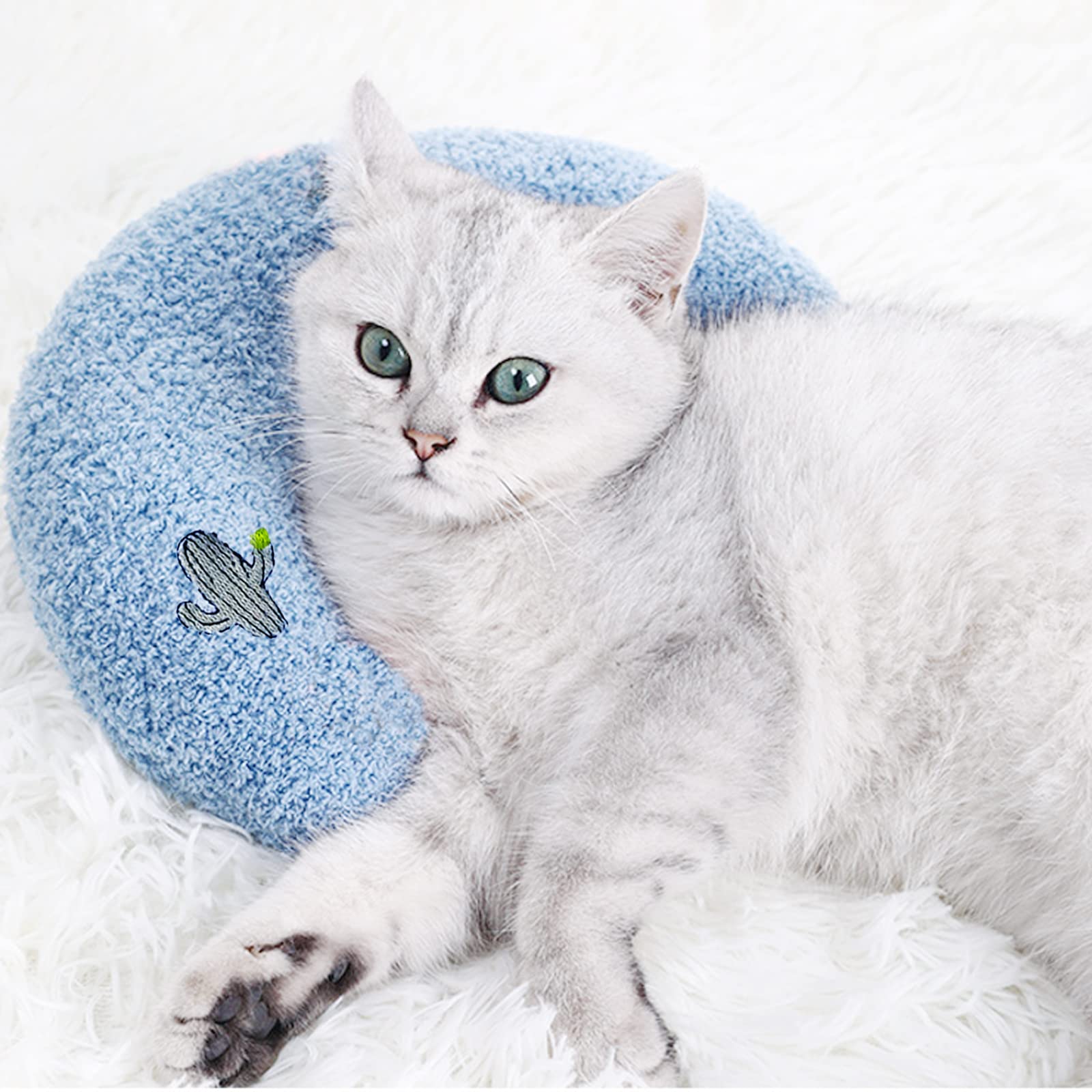 Whimsicalfox coussin-chat anneau doux: endroit ultra confortable pour le repos des chats.