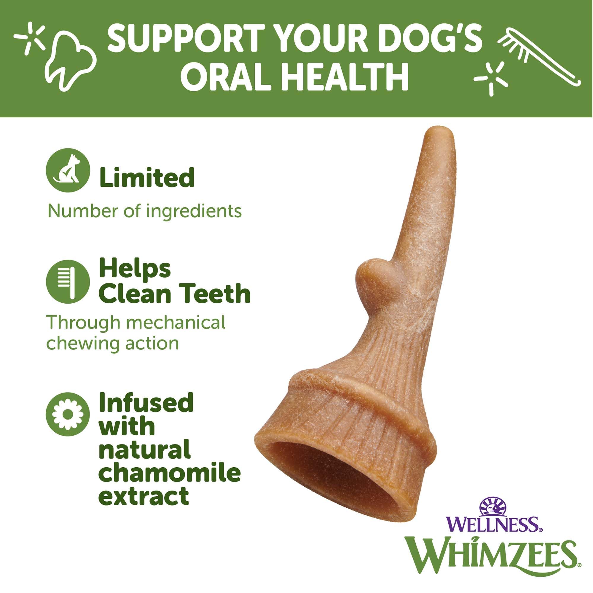 Whimzees Antler Occupy chien-en-action montre la mastication et le nettoyage