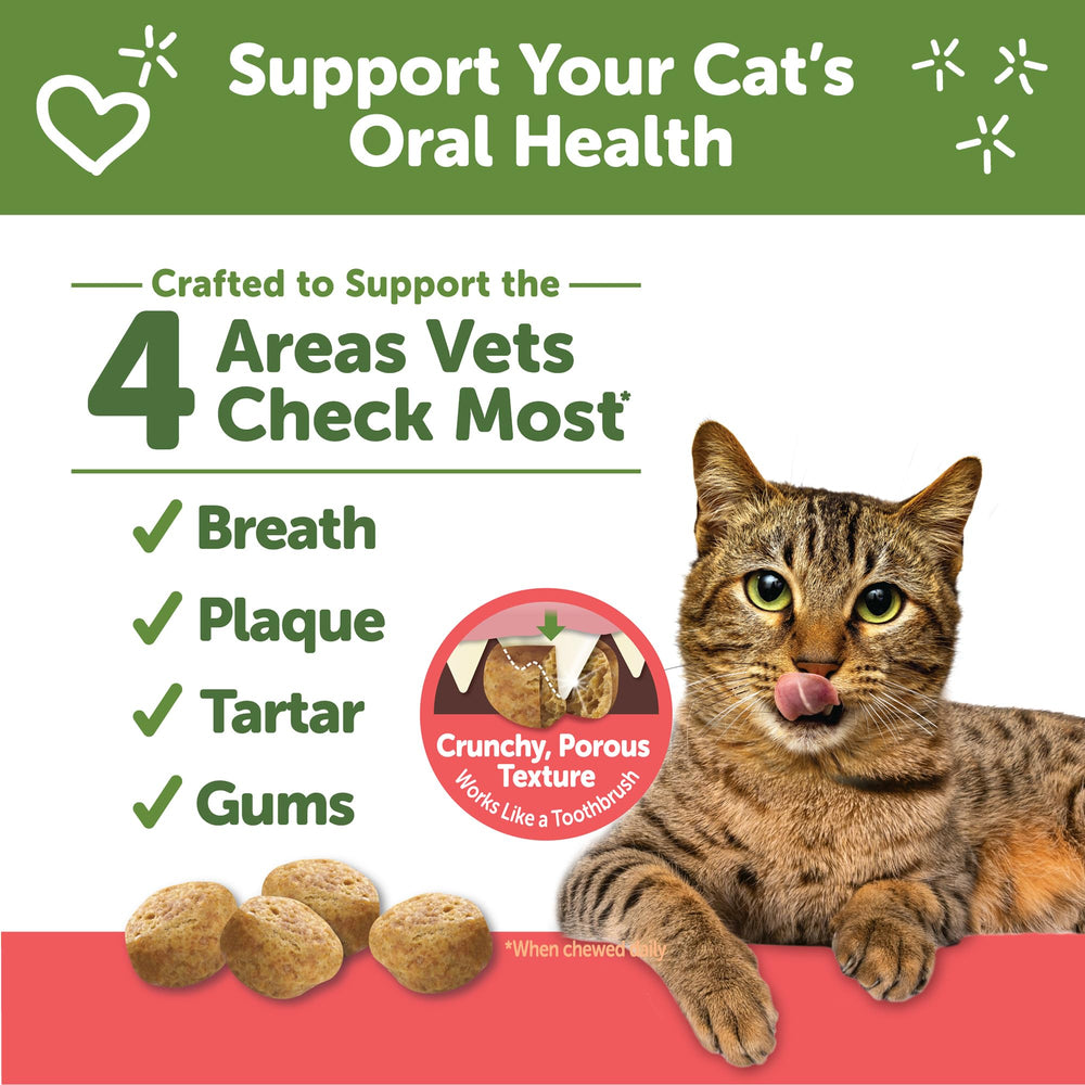 Whimzees Chat – saveur poulet-saumon, friandise savoureuse pour chats.