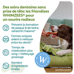 Whimzees forme bâtonnet petites: croquer facilement pendant les jeux.
