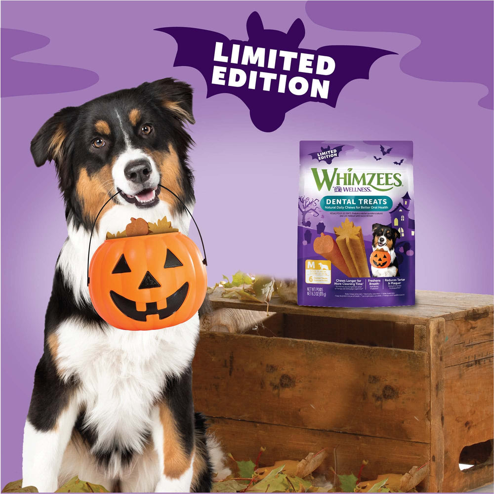 Whimzees haleine fraîche pour chien moyen en format automne