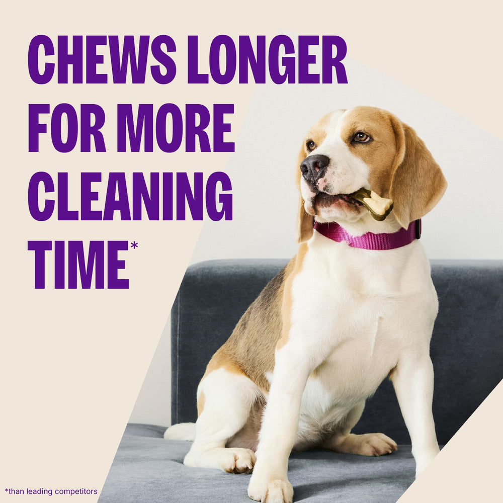 Utilisation quotidienne avec Whimzees pour haleine plus fraiche