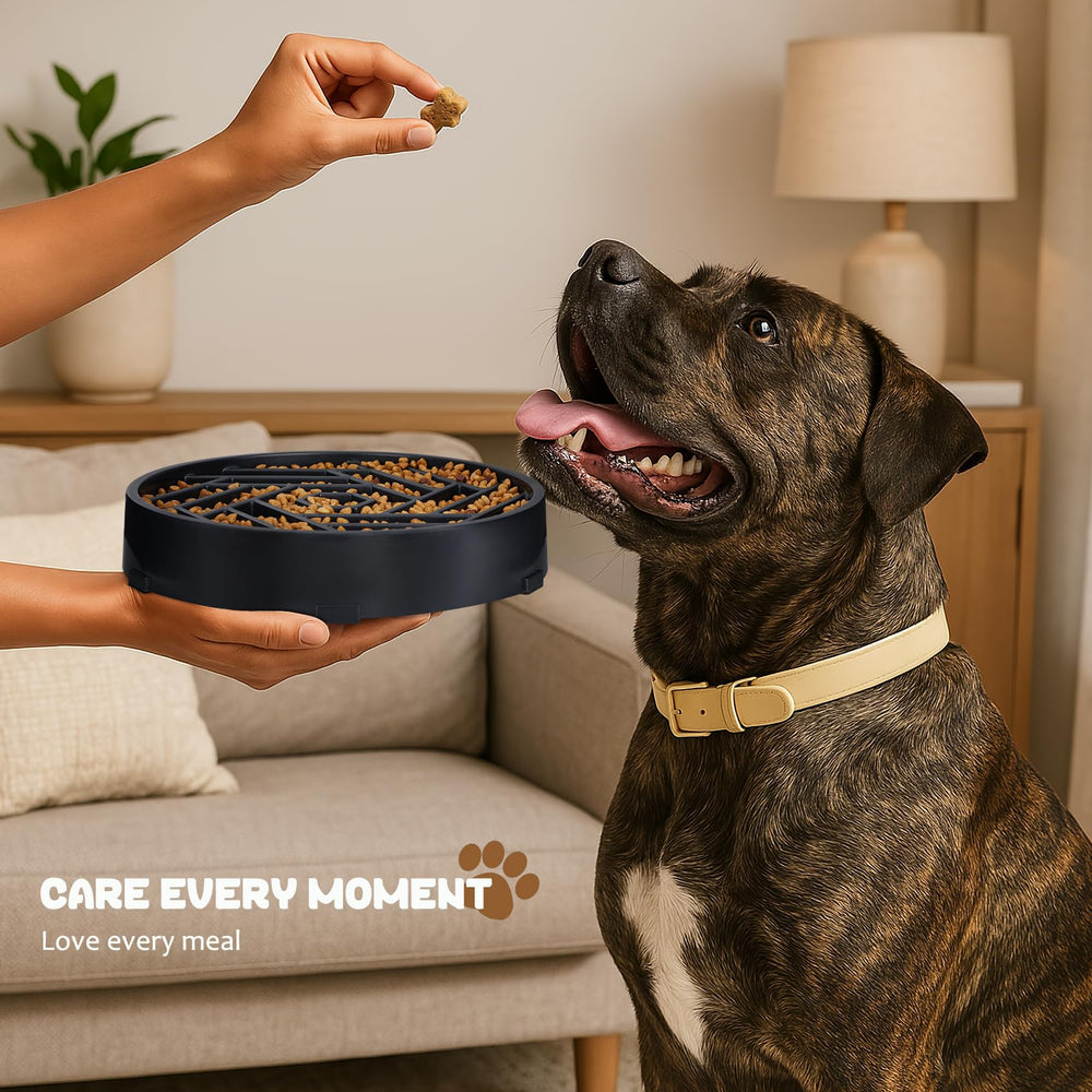 WHIPPY bol puzzle: design interactif favorisant une alimentation plus lente.