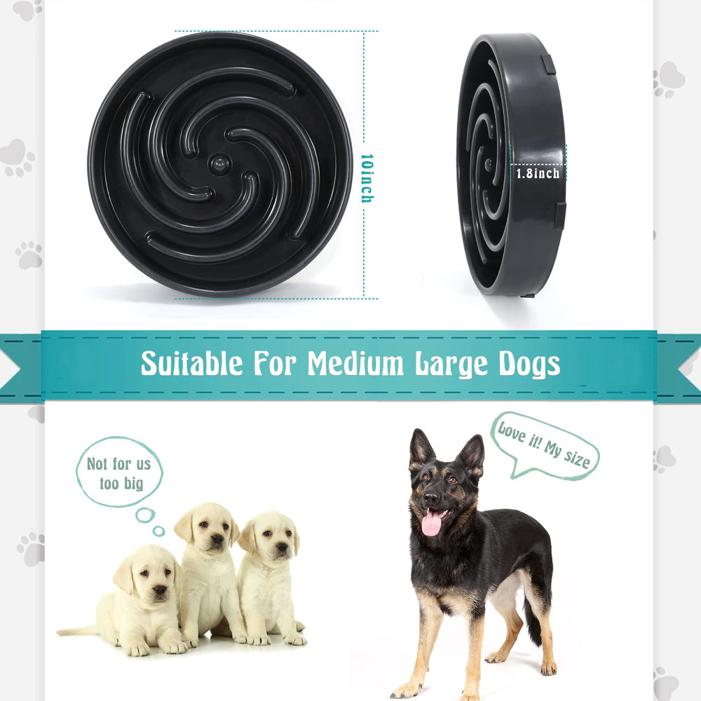 Bol puzzle WHIPPY, favorise une alimentation variée adaptée croquettes pâtée ou cru.