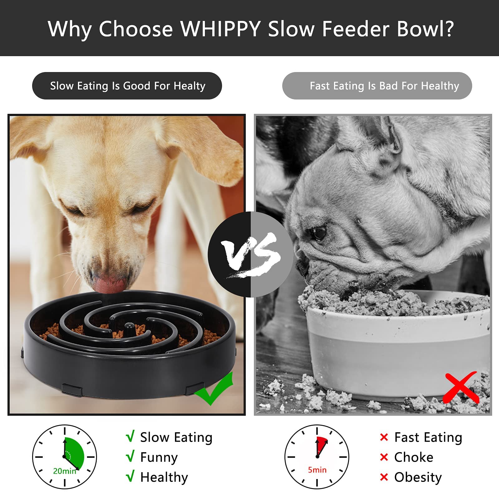 Bol WHIPPY slow feed capacité 3 tasses, pratique pour portions variées.