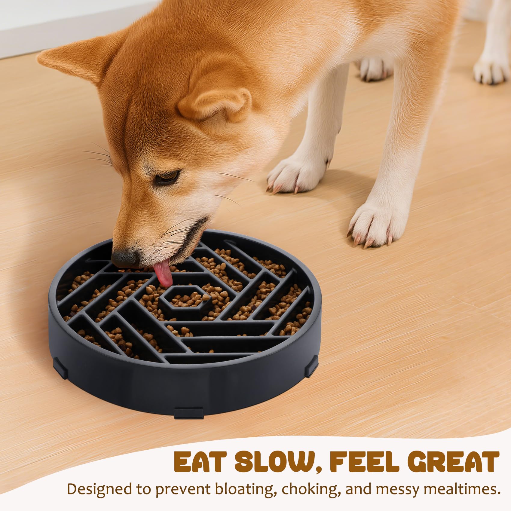 WHIPPY bol slow-feeder base anti-dérapante: bol stable durant le repas.