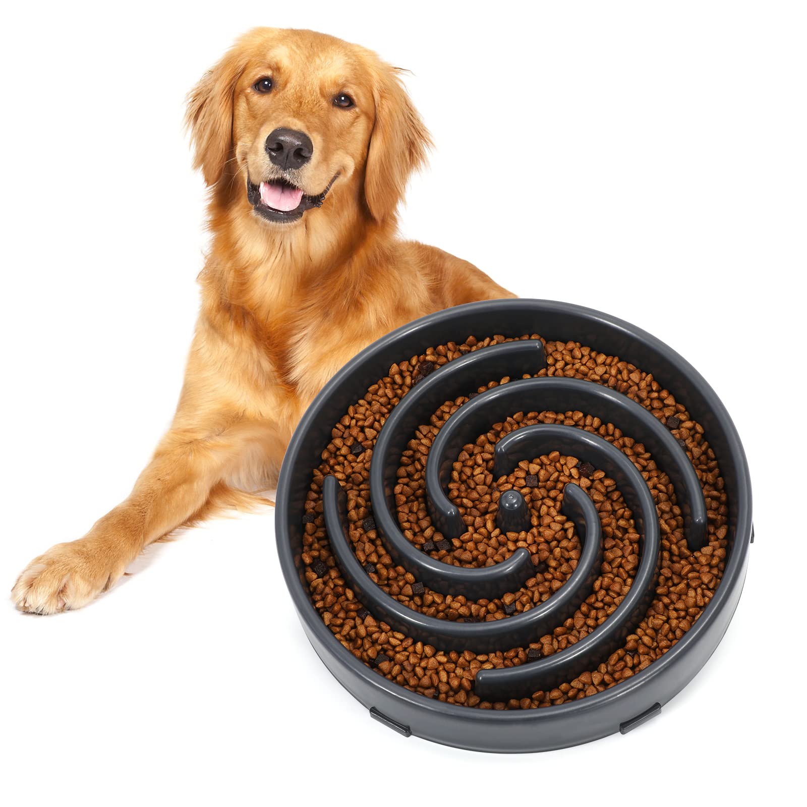 WHIPPY bol slow feeder labyrinthe pour chien, stimule l alimentation consciente et divertissante.