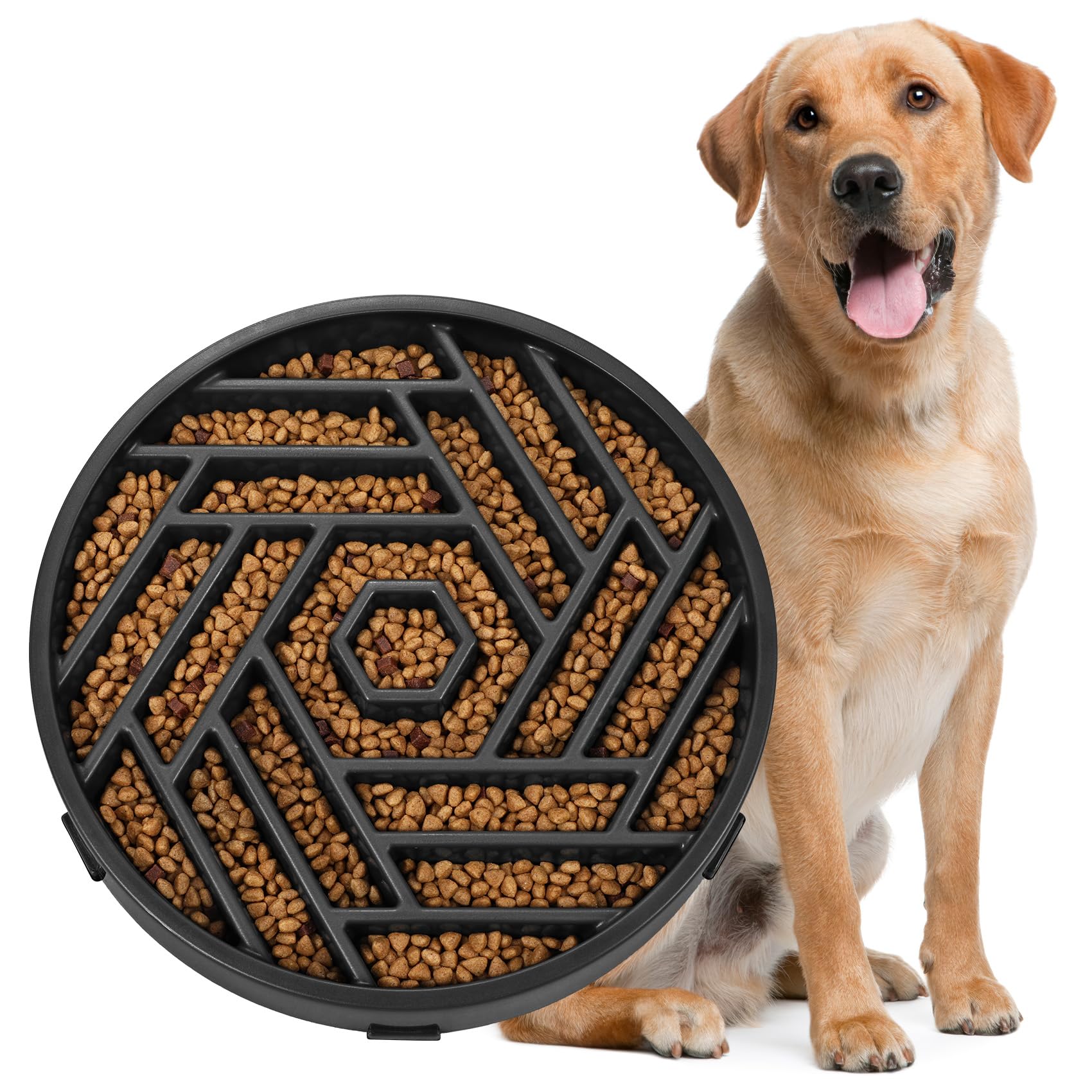 WHIPPY bol slow-feeder puzzle chien, vue avant: encourage le jeu et ralentit l'ingestion.